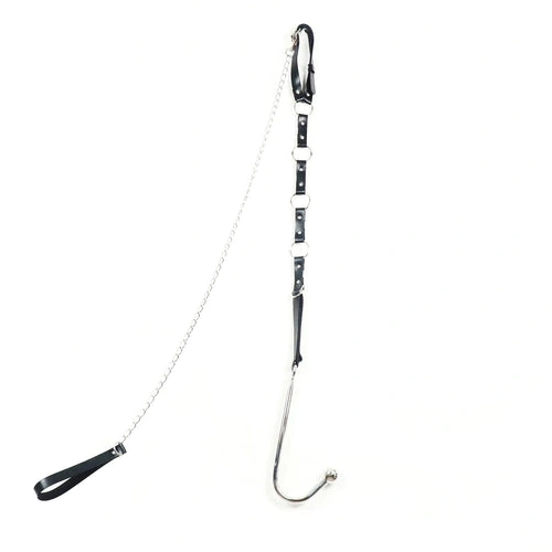 EverydayUse and Kinky 5853 Hook with Collar Anal Leash 0326